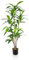 PlusFive Artificial Plants Indoor 5FT Faux Dracaena Tree Large Artificial Plants Indoors in Pots Artificial Palm Tree for Home Decor Office Living Room Garden Decor Housewarming Gift