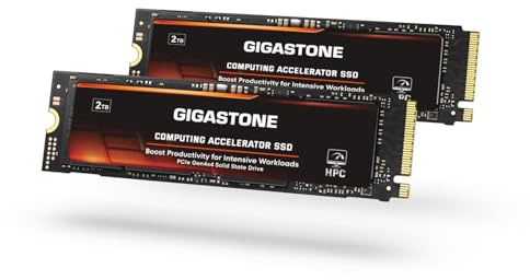 Gigastone HPC Computing M.2 SSD 2TB (2er-Pack) PCIe 4.0 NVMe SSD 5,000MB/s Host Speicherpuffer Cache beschleunigt Geschwindigkeitskodierung Big Data Intensive Arbeitslasten internes