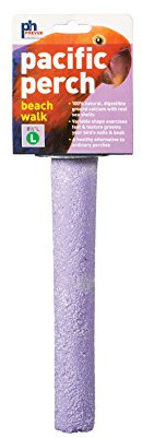 Prevue Pet Products Pacific Perch Beach Walk Large 1008