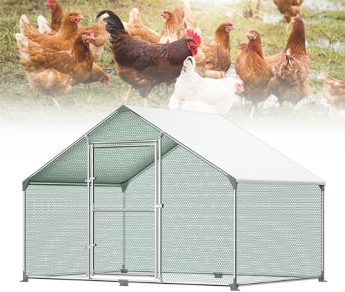 Froadp Pollai e Gabbie in Acciaio Zincato per Galline Uccelli da Esterno Gabbia con PE Tetto Parasole e Lucchetto Grande Recinto di Pollo Voliera per Animali Conigli Polli Cucce (3x2x2m, 6㎡)