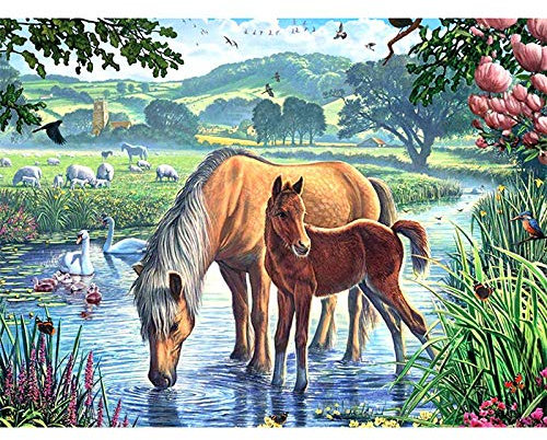 Jigsaw Puzzle| Horse In The River Jigsaw | 300 Pieces of Puzzle