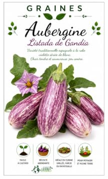 20 graines d'aubergine listada de gandia, variété ancienne striée violet et blanc savoureuse