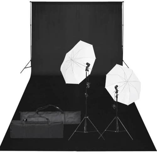 vidaXL Kit de Estudio fotográfico con Set de Luces y Fondo