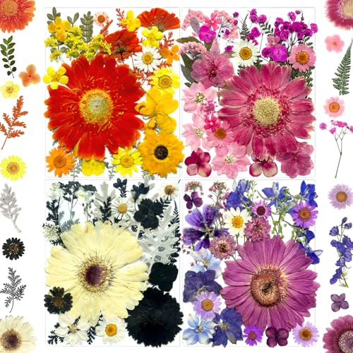 MIKIYA 106Pcs Big Dried Pressed Flowers for Resin, Assorted Real Natural Bulk Dry Floral Leaves for DIY Art Crafts, Epoxy Molds, Jewelry, Soap, Candle Making, Nails Decors