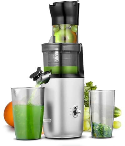 AMZCHEF Ganzfrucht Entsafter - 80MM große Öffnung Slow Juicer - Entsafter Gemüse und Obst Testsieger mit Verbesserter Schnecke, Doppelschicht Filter, Retro Kippschalter, Leiser Motor - Grau
