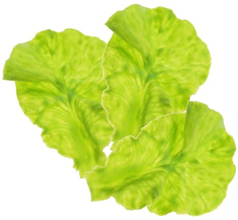 jojofuny 3 pièces Laitue Artificielle Réaliste Décoration Cuisine Accessoires Fausse Salade Verte pour Maison et Photographie
