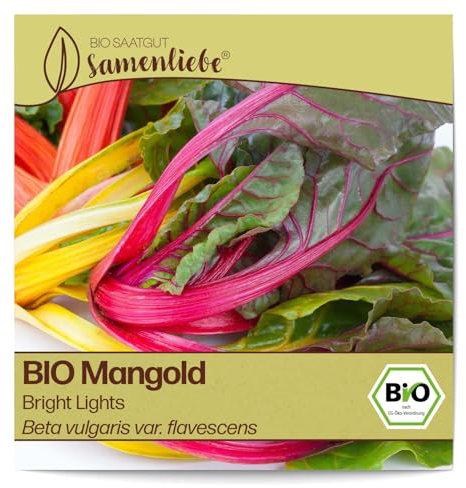 Samenliebe BIO Mangold Samen Bright Lights Rainbow Stielmangold bunt gelb 70 Samen samenfestes Gemüse Saatgut für Gewächshaus Freiland und Balkon BIO Gemüsesamen