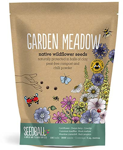 SEEDBALL Garden Meadow Seed Bombs – 100 Seed Balls Per Pack | Pollinator Friendly Wildflower Seeds - Clay Protected Seed Bomb for Bees, Butterflies, Birds & Garden Wildlife
