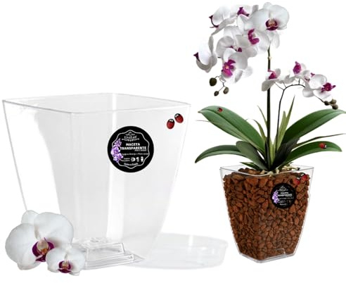 LiveLaif - Maceta Orquidea Transparente Rectangular 14x14x15 cm + Plato Maceta | Macetas Plastico | Macetas para Orquídeas Transparente | Macetero Orquidea | Elegir Tamaño y Unidades
