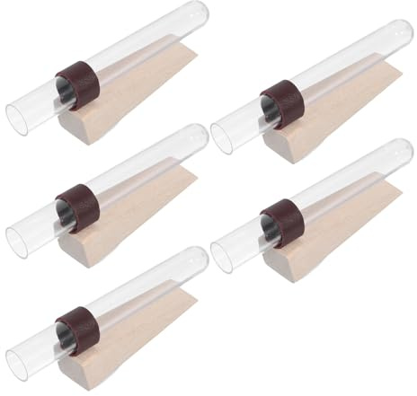Kisangel 5 pièces Vase Hydroponique Mural Suspendu pour Propagation de Plantes Tubes à Essai Décoratifs sans Terre pour Bureau et Maison Support Mural Chic et Moderne pour Purification Air