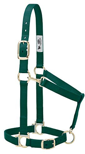 Weaver Leather Basic Adjustable Nylon Halter, Hunter Green, 1 Small Horse