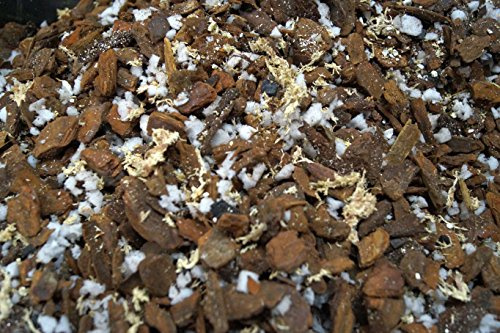 40 Liter Orchideensubstrat Premium Orchideenerde von BLÜHKING®