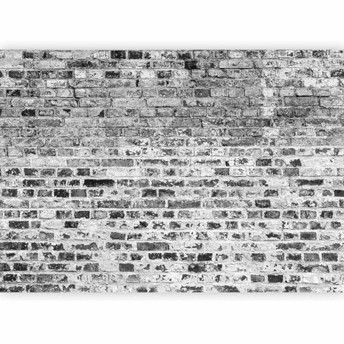 Fotomurales B&D XXL - 400x280 cm XXL Papel pintado tejido no tejido Decoración de Pared decorativos Murales moderna Diseno Fotográfico Ladrillo f-a-0411-a-c