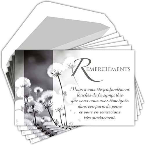 AFIE C5264 - Lote de 5 tarjetas idénticas y sobres blancos, formato 9 x 14 cm, diseño de texto simpatía para fallecimiento funeral y funeral, flores secas, fabricadas en Francia