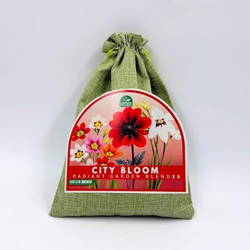 Nojus City Bloom Radiant Garden Blend 25 – Mix di Bulbi e Tuberi (Acidanthera, Sparaxis, Dalie), Fiori Estivi Colorati per Giardino, Balcone, Terrazza e Vasi – 25 Pezzi