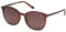 Pepe Jeans Damen Leah Sonnenbrille, braun, 52/19-145