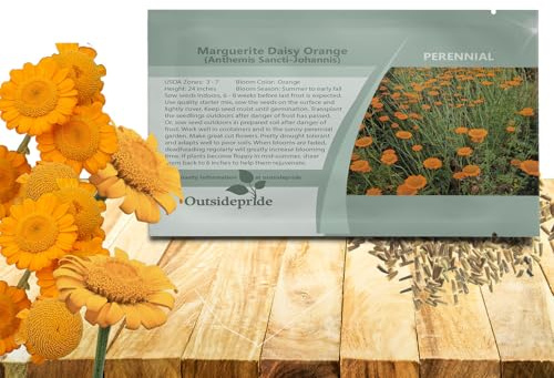Outsidepride Orange Marguerite Daisy Seeds - 5000 Pcs. Perennial Drought-Tolerant & Pollinator-Friendly, Flower Seeds for Planting Vibrant Blooms for Gardens, Borders & Cut Flowers