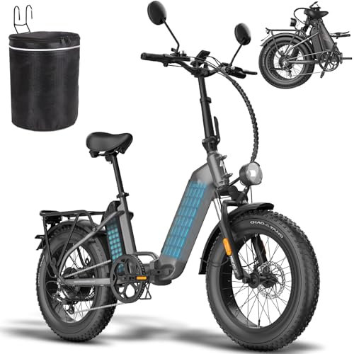 Fafrees Bici Elettrica Pieghevole Due Batterie 48V/13.4Ah×2 Bicicletta Elettrica, 20×4.0 Fat Tire, Autonomia di 170km, Fat Bike Ebike per Adulti Uomo Donna, con Schermo LCD, Specchietti,Borsa,Grigio