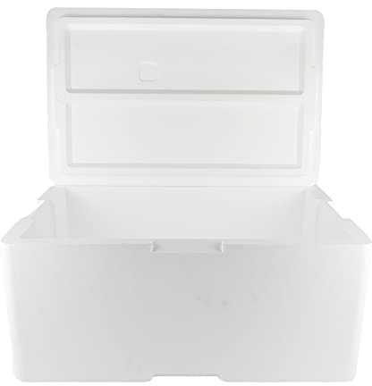 DUE ESSE S.N.C. DI SABATINI ALDO & C. PZ 1 SCATOLA TERMICA GRANDE BIANCA RETTANGOLARE 54 X 36 ALTA CM 28 + COPERCHIO CASSA TERMICA IDEALE PER SPEDIZIONE TRAMITE CORRIERE