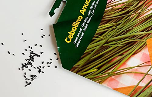 Semillas de Cebollino Naturales para Sembrar en Casa