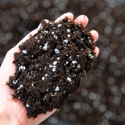 Premium Fruit Tree Soil Mix – Nutrient-Rich Potting Soil for Fruit & Mature Trees, Fast-Draining & High-Yield Growth – Ideal for Citrus, Apple, Mango, Avocado – Available in 10L & 20L Bags (10ltr)