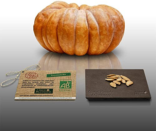 10 graines Bio à semer - Le Grenier d'Abondance - COURGE MUSQUEE DE PROVENCE - Certifié AB - Curcurbita maxima