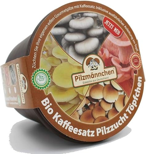 Bio Limonenseitling Kaffeesatz Töpfchen - Pilze selber züchten