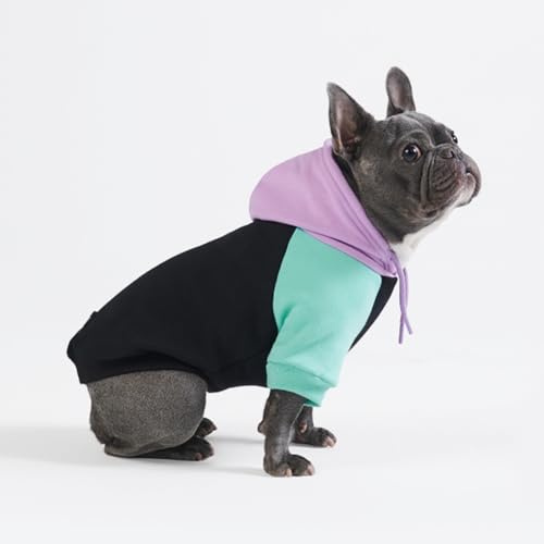 Spark Paws hundhuvtröja – premium hundtröja för små, medelstora och stora hundar | varma kläder för franska bulldoggar, pitbull, valp, vinterjacka alternativ – Cyber Punk – XL