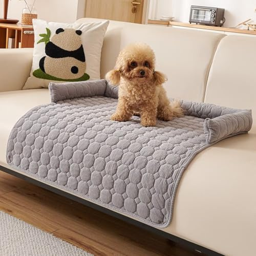 Sängorm hundbädd soffa tvättbar – hundtäcke soffa med kant, soffskydd hund, fluffig hundsäng, halkfri hundkudde, medelstor hund, 75 x 75 cm, ljusgrå