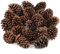 24 piñas naturales grandes de pino natural de Navidad, conos de pino perfumados para decoración de Navidad, manualidades y decoración del hogar