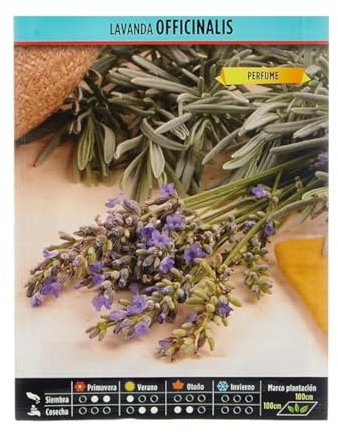 Semillas Horticolas - Lavanda officinalis