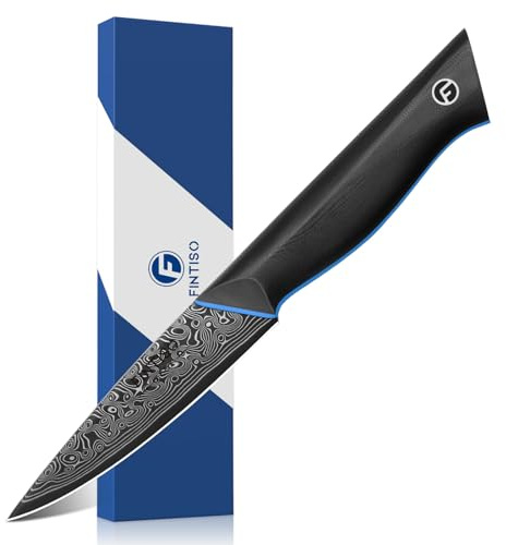 3.75 Inch Paring Knife, Fruit Knives with G10 Handle, 67-Layer Japanese Damascus Steel Forged Small Kitchen Knife, Ultra Sharp Knves with Exquisite Package