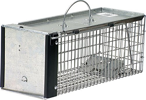 Havahart 0745 Extra Small 1-Door Humane Catch and Release Live Animal Trap for Squirrels, Chipmunks, Rats, Weasels, and Small Animals