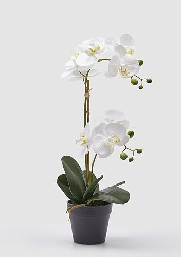 EDG Enzo De Gasperi Orchidea Phalaenopsis con Vaso Ramo x2 Artificiale H 53 Cm White