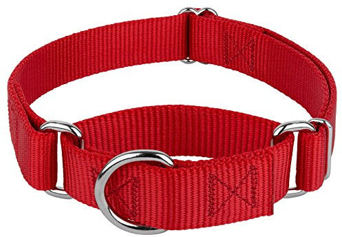 Country Brook Petz - Martingale Dog Collar - Heavy-Duty Training Collar with No Buckle - Service Dog Collar for All Pups - 10+ Warm Colors (Red, 1 Inch, Medium)