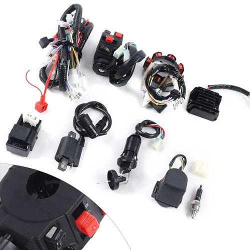 Begoniape Faisceau de câbles redresseur 150 250 300 CC Kit de faisceau de câbles électrique CDI Stator Kit complet de câbles Redresseur pour ATV Quad et 4 temps automatique