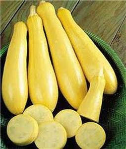 Squash, Early prolifico Straightneck squash Seed, organici, non OGM, 200 semi per