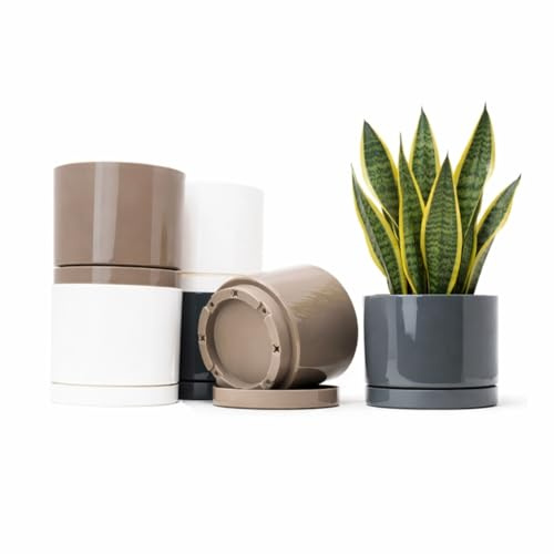 QILZO Maceteros Decorativos Interior Exterior 14 cm Pack 6 Macetas Plástico con Plato Incorporado, Tiestos para Plantas Interior, Plástico Resistente, Macetas Decorativas Modernas (6 x Neutro 14cm)