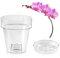 Teraplast Porto Vaso trasparente con supporto per orchidee, con 4 fori di drenaggio, vaso da 14 cm di diametro, completo di piattino