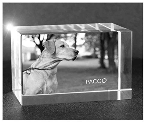 VIP-LASER 2D Gravur Glas Kristall Quader im Querformat L mit dem Foto von Deinem Hund. Dein Wunschfoto für die Ewigkeit Mitten in Glas! Groesse L = 60x40x40mm