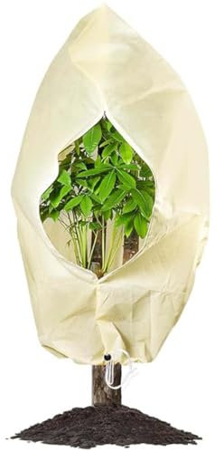 WeddHuis 1 Stück Pflanzen-Winterschutz, Winterschutz für Kübelpflanzen, Frostschutz, atmungsaktiv, wiederverwendbar, Pflanzenschutz mit Kordelzug für Balkonpflanzen (100x80 cm) (Beige)