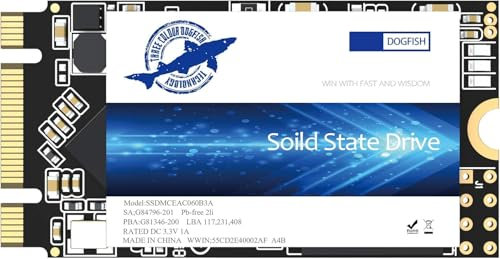 Dogfish SSD M.2 2242 250GB Unidad De Estado S?ido Incorporada Height PC Unit?a Stato Solido Integrata Interno MLC Desktop Laptop Hard Drive Disk m2(M.2 2242 250GB)