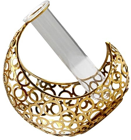 Toddmomy Vase Tube Hydroponique Et Décoration Nordique pour Plantes Et Fleurs Centre De Table Élégant pour Salon Et Chambre Design Unique Forme De Lune pour Décor Intérieur