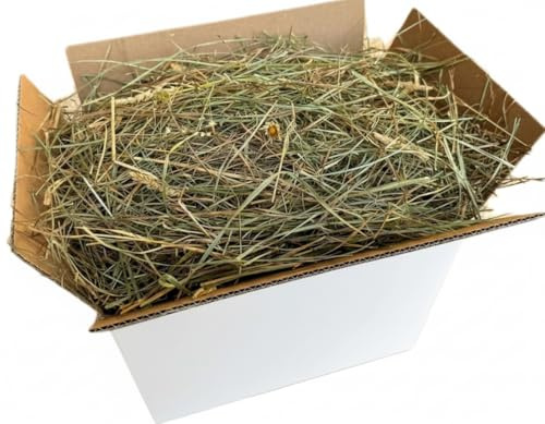 Fieno Naturale per Conigli 500 grammi | Balla di Fieno Italiano di Prato di Montagna Essiccato al Sole | Alimento per Porcellini d’India, Cincillà, Conigli Nani, Cavalli, Polli e Roditori