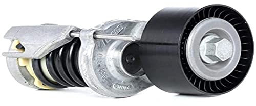 Ina 534 164 10 Braccio Tenditore, Cinghia PolyV