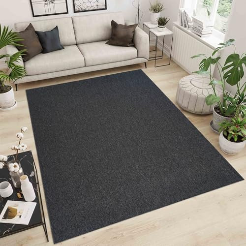 Simple Low Pile Rugs Living Room – Modern Tufted Area Rugs for Living Room with Felt Backing Dark Grey 80x150 cm