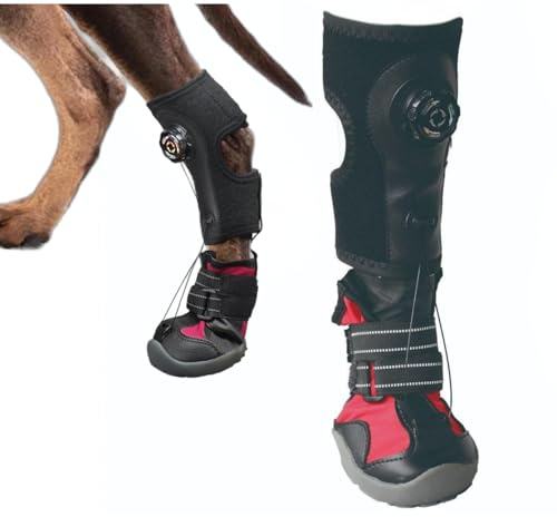 Scarpe correttive per cani, tutore per piede cadente con bobina per cani con problemi ai piedi, migliora l'andatura durante la deambulazione, non stringe per lo stivale, non stringe per lo per