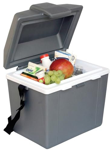 Koolatron Electric Cool Box 9L Portable Hot Cold Summer 12V In-Car Socket Car Mini Fridge Refrigerator Thermoelectric Camping Cooler with Carry Handle Travel Picnics Fishing Home Campervan Grey