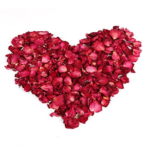 minkissy 100g Secos De Rosa Natural Decoración para Baño SPA Aroma Natural para Fertilizante De Jardín