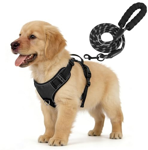 YooxArmor Anti-dragning medelstor hundsele och koppel, svart, M | Reflekterande sele för hundar med handtag, enkel kontroll, justerbar och hållbar för att träna promenader